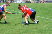 DSC_7839.JPG