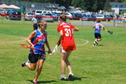DSC_7849.JPG